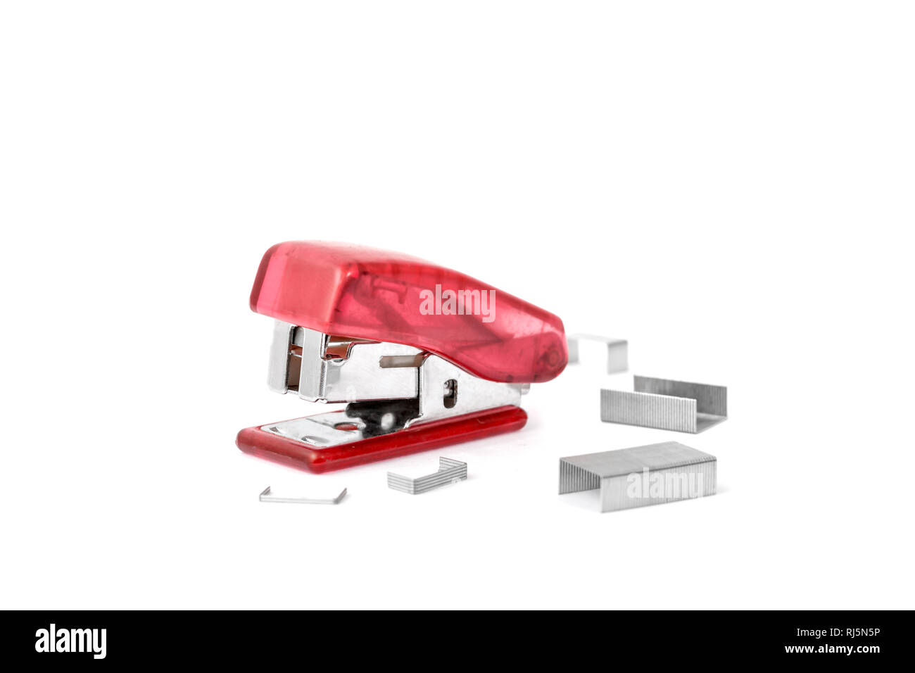 Pink stapler and staples are many different Stock Photo Alamy