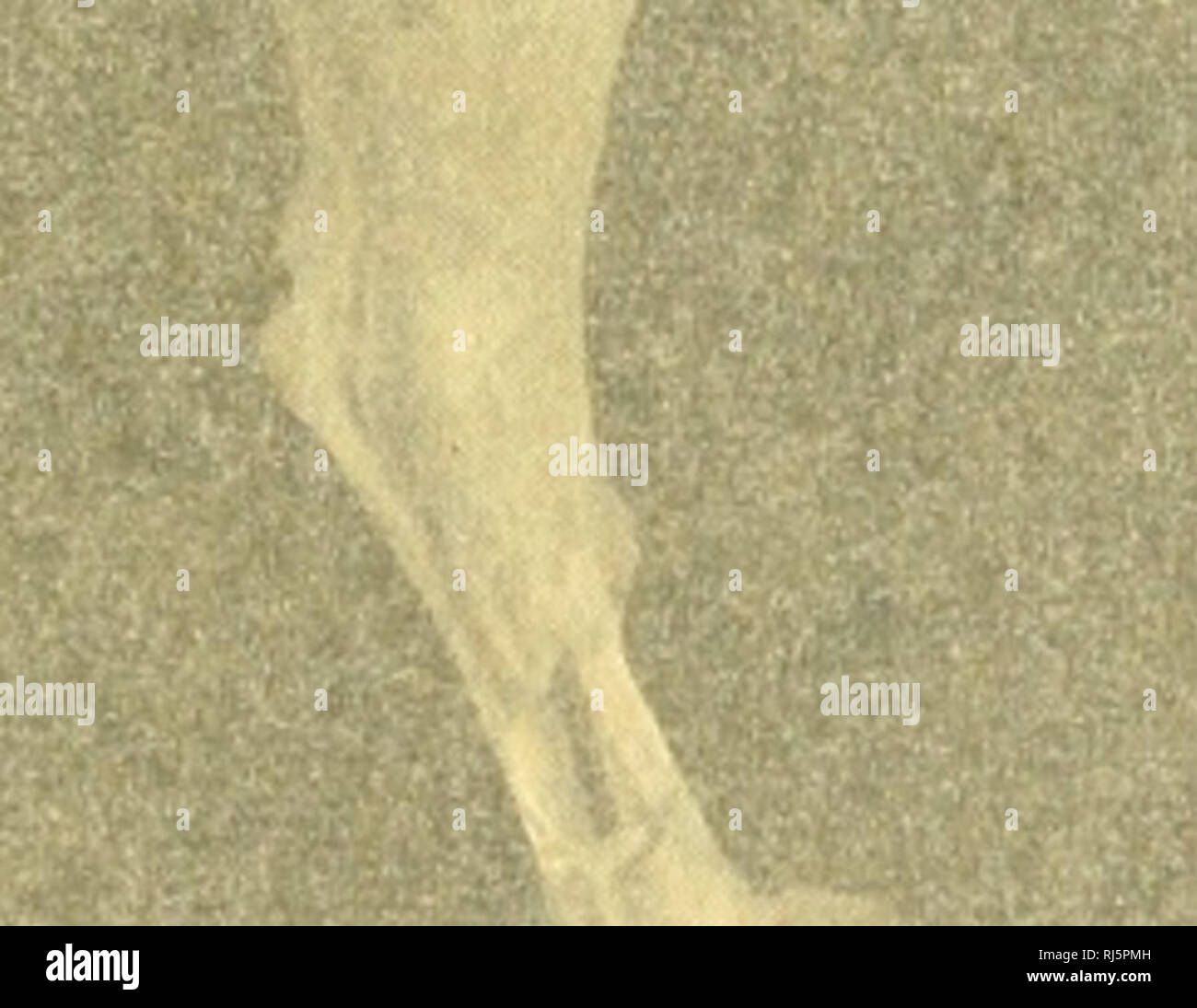 Ho Nan High Resolution Stock Photography And Images Alamy