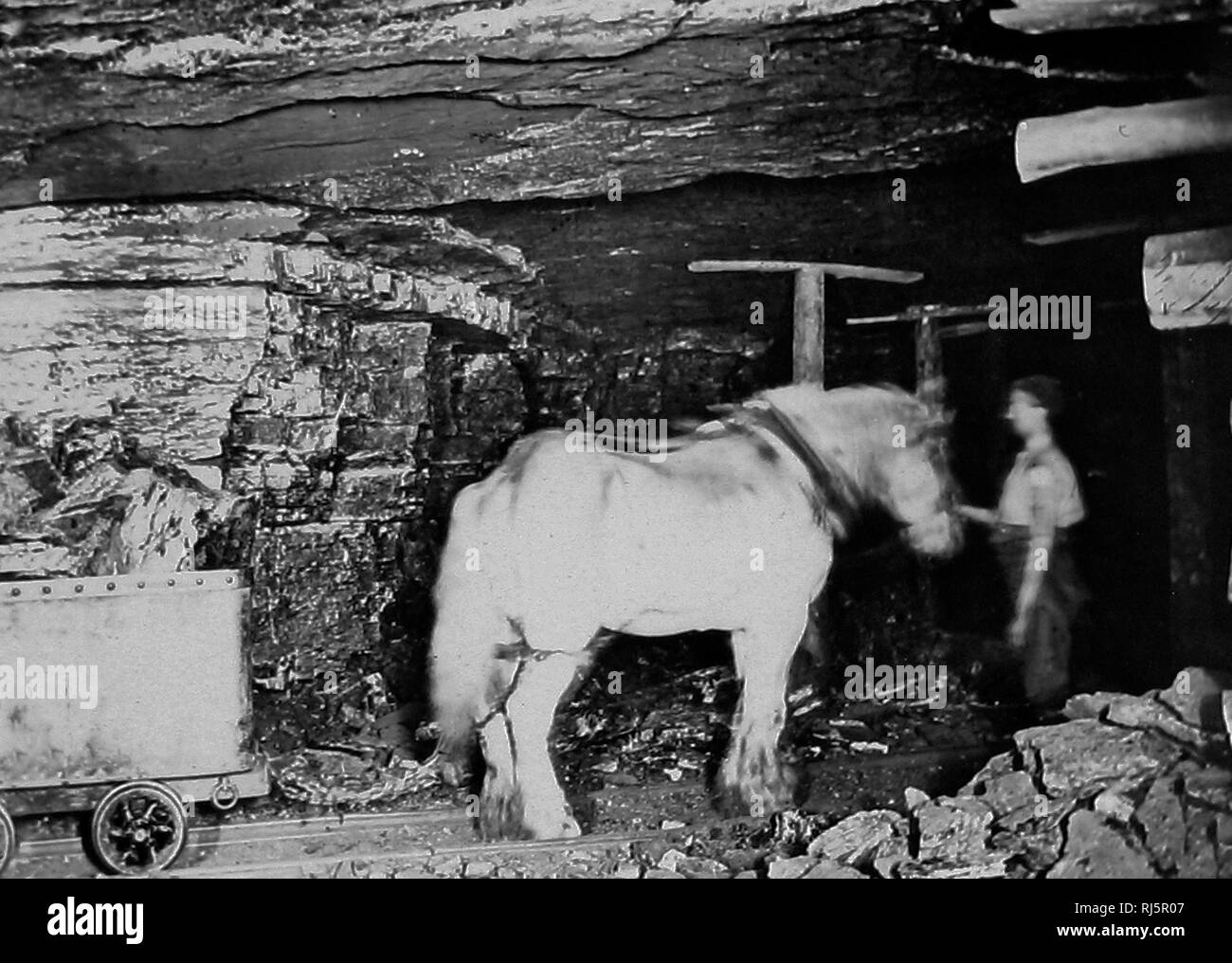 Pit pony in a coal mine Stock Photo