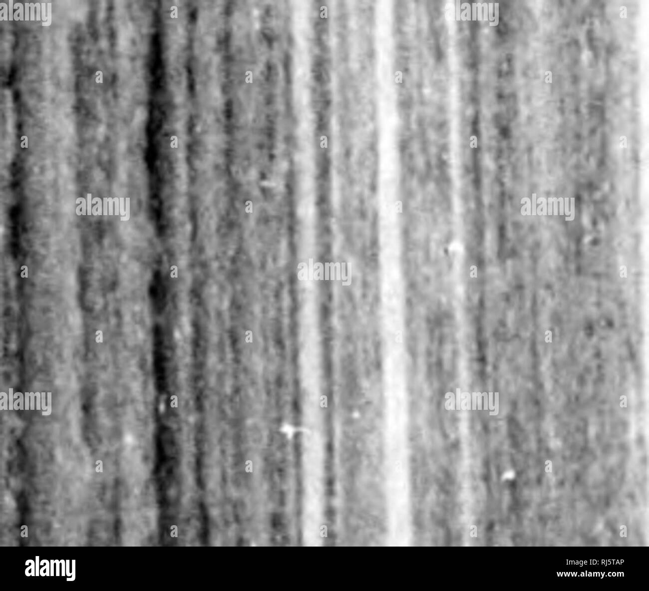 Scolder Black and White Stock Photos & Images - Alamy