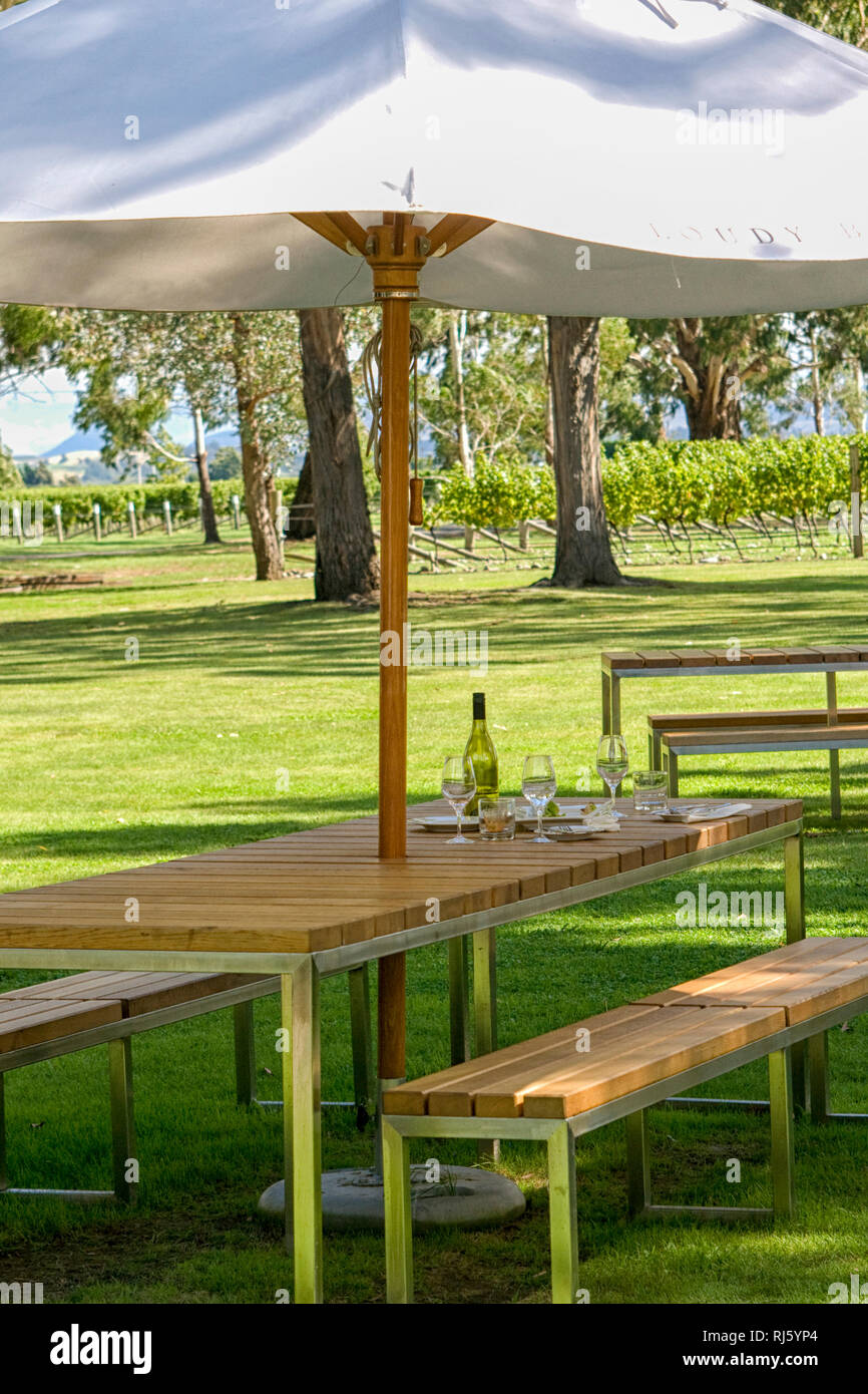 Lunch with wine in vineyard under parasol Stock Photo