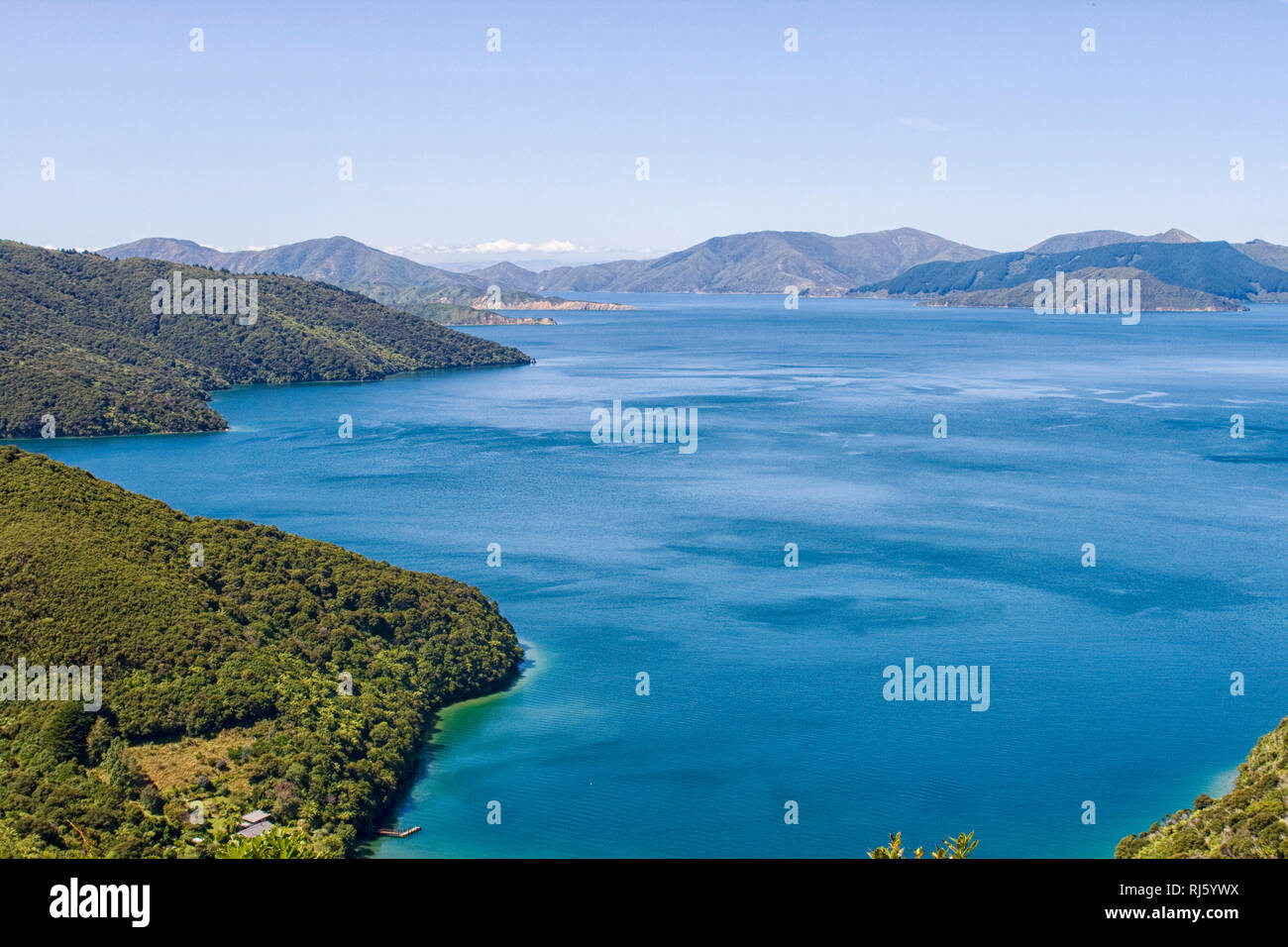 Part of the Queen Charlotte track at Marlborough Sounds in New Zealand Stock Photo Alamy