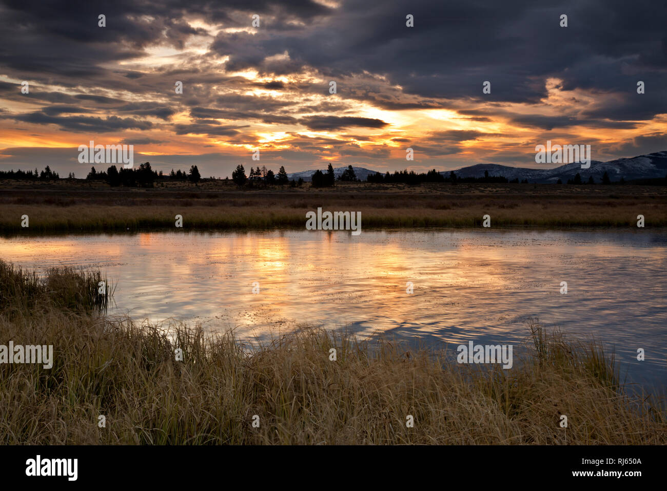 WY03133-00...WYOMING - Sunrise over Swan Lake located along the Mammoth - Norris Road in Yellowstone National Park. Stock Photo