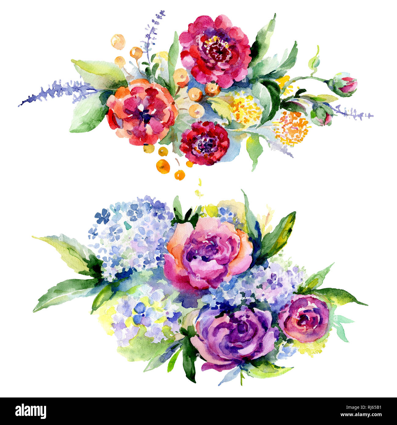 Bouquets floral botanical flower. Watercolor background illustration ...