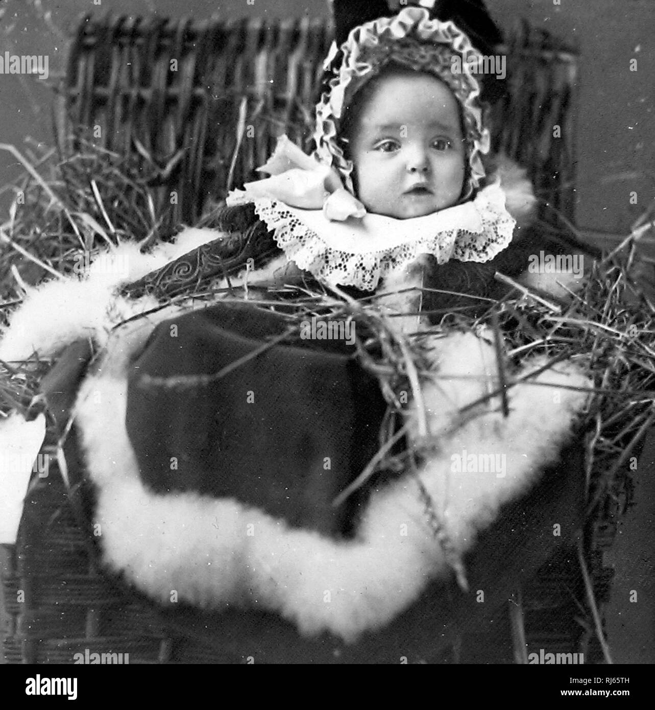 baby in a Christmas hamper Stock Photo