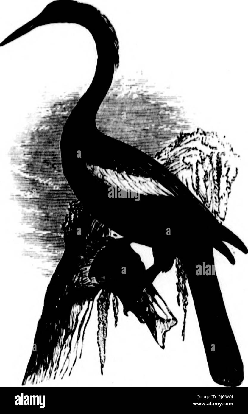 Lihim Black And White Stock Photos Images Alamy