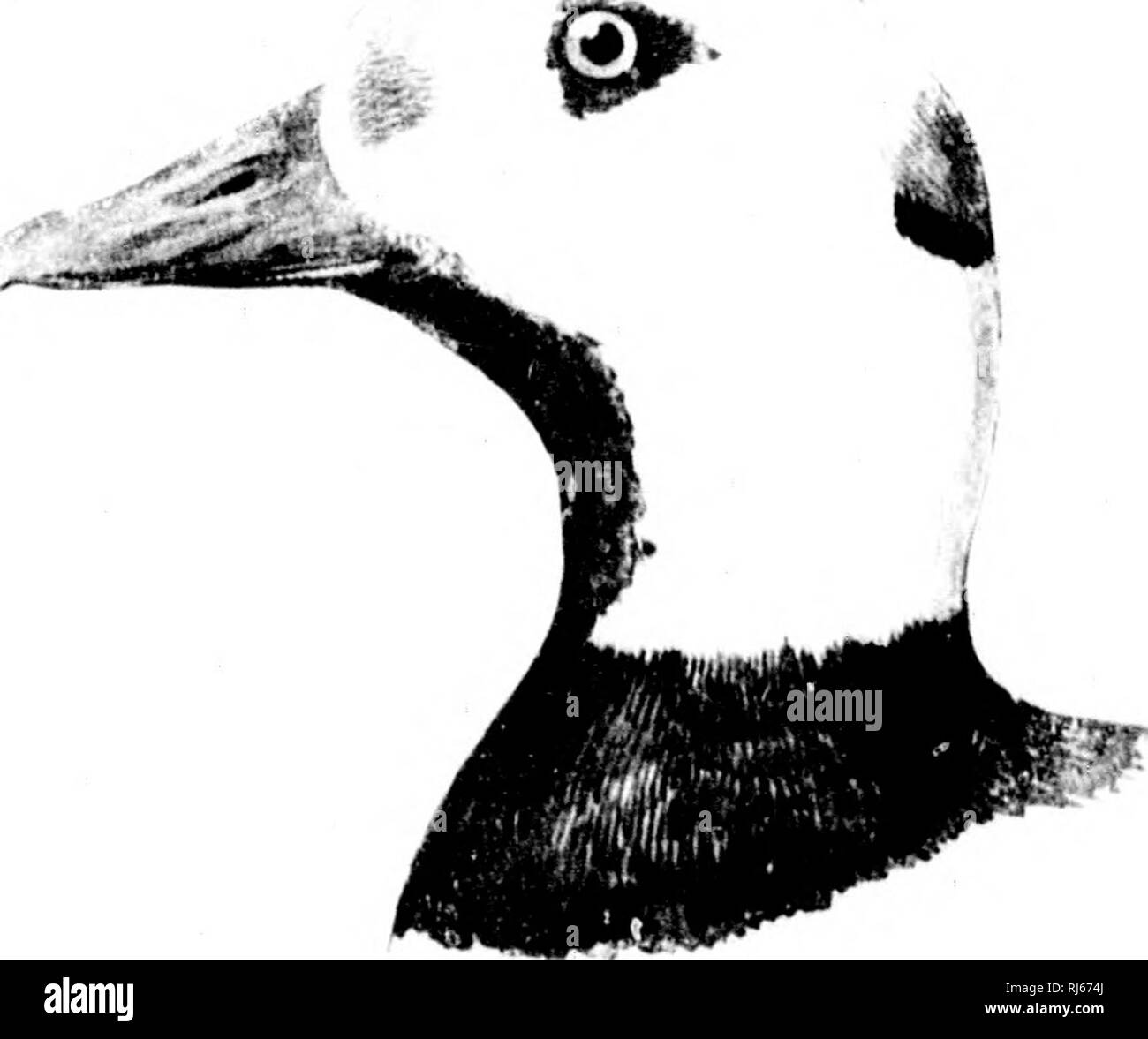 Kl m Black and White Stock Photos Images Page 3 Alamy