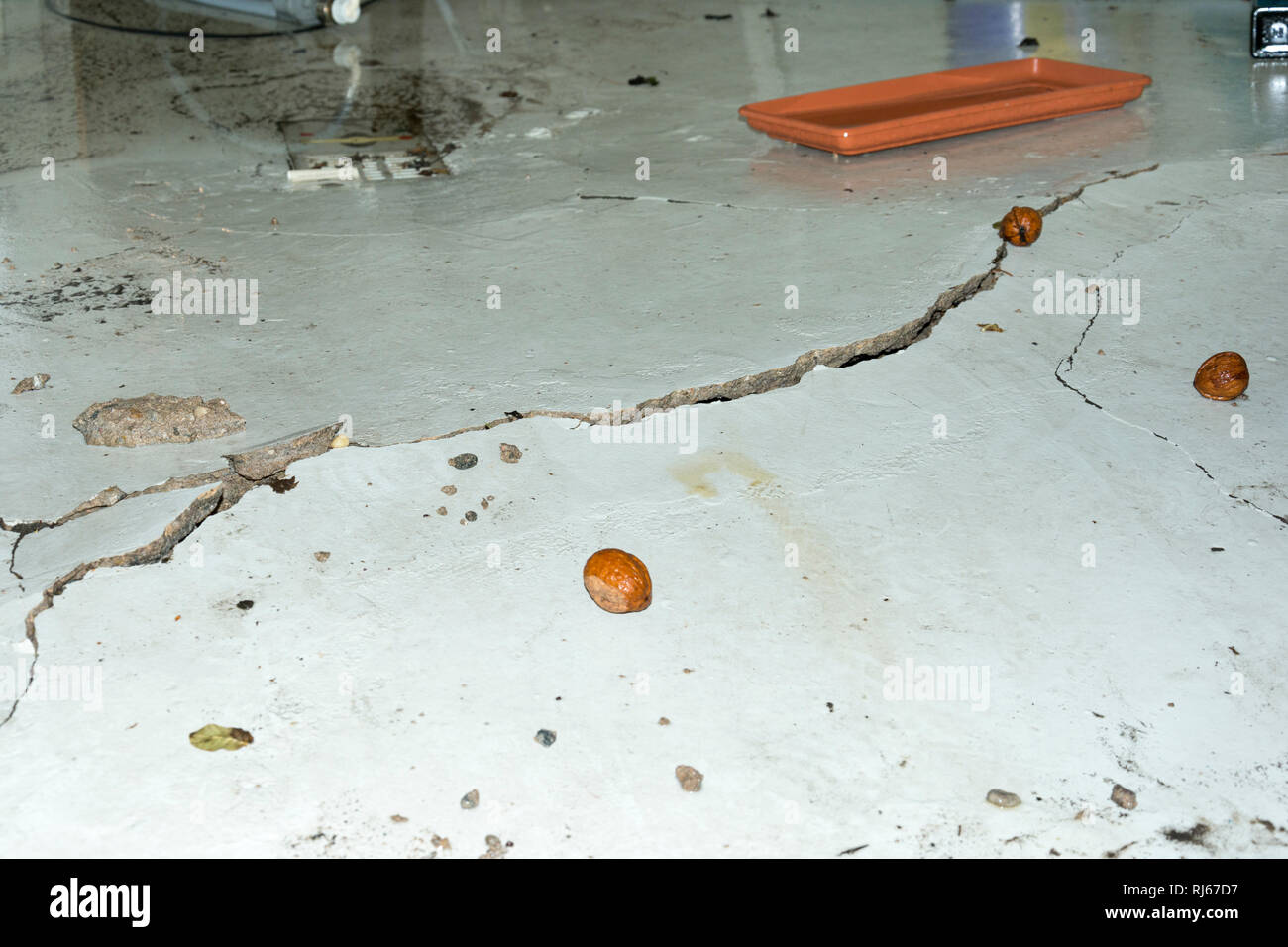 Durch Wasserdruck aufgebrochener Kellerboden nach einem Starkregen Stock Photo