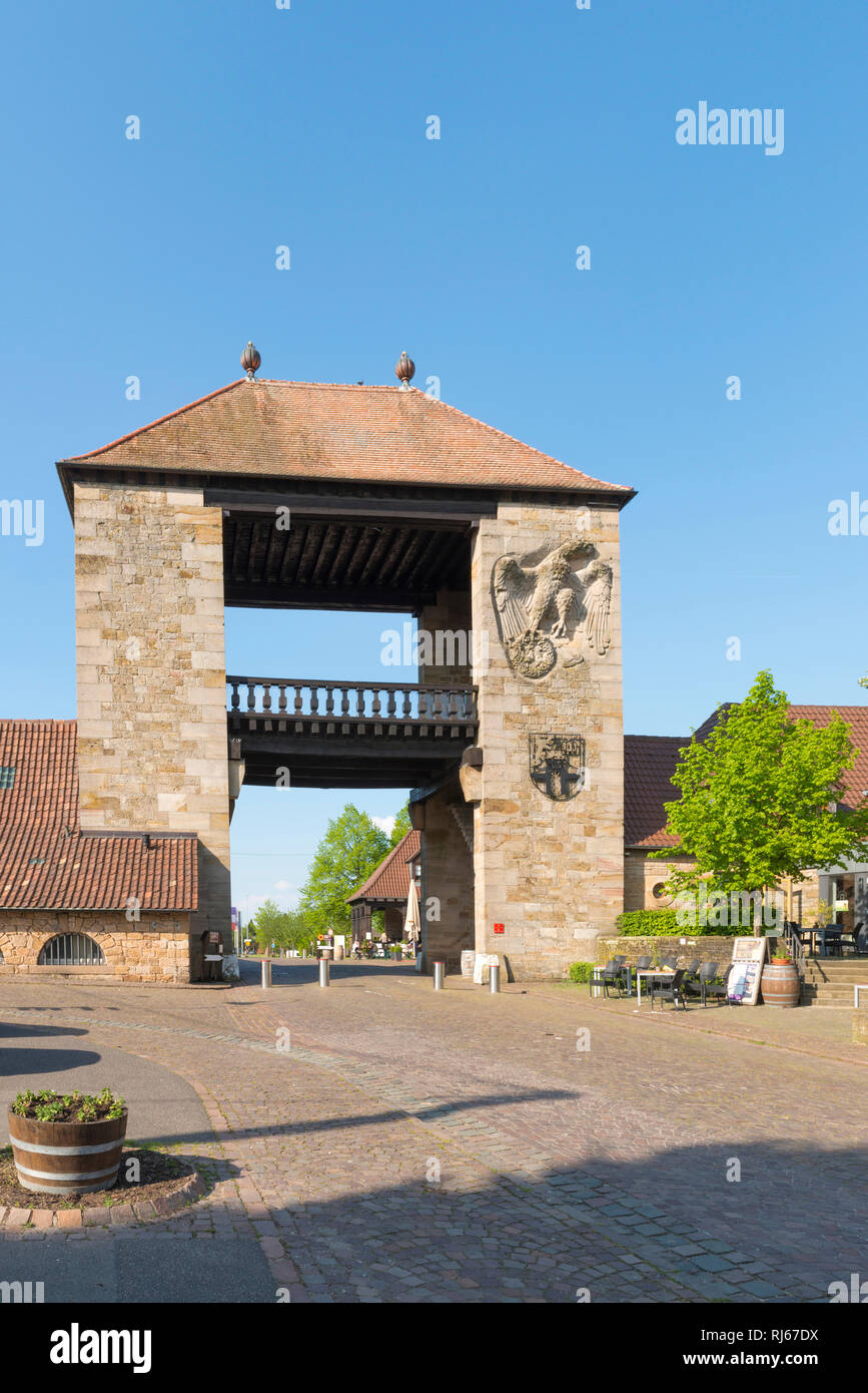 Deutschland, RheinlandPfalz, SchweigenRechtenbach, das Deutschland, RheinlandPfalz, SchweigenRechtenbach, das