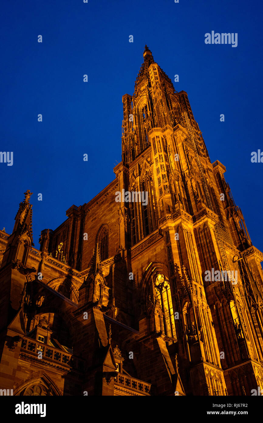 Europa, Frankreich, Grand Est, Straßburg, Blaue Stunde am Straßburger Münster, Stock Photo
