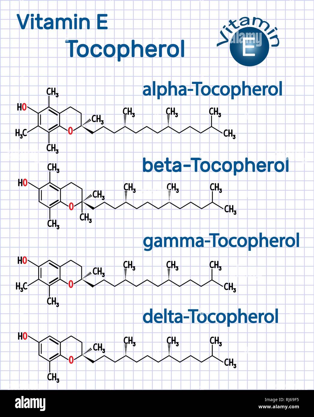 Vitamin E - Tocopherol (alpha-, beta-, gamma-, delta-) molecule. Structural chemical formula. Sheet of paper in a cage. Vector illustration Stock Vector