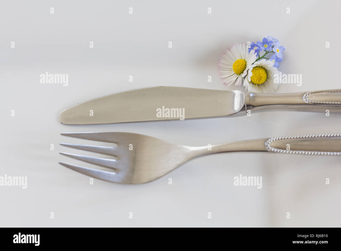 Messer und Gabel auf einem weißen Teller, der Tisch ist gedeckt, Stock Photo