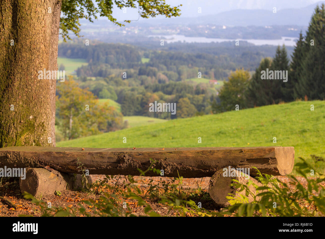 Schlichte Holzbank zum Erholen mit Blick auf die bayrische Landschaft, Stock Photo