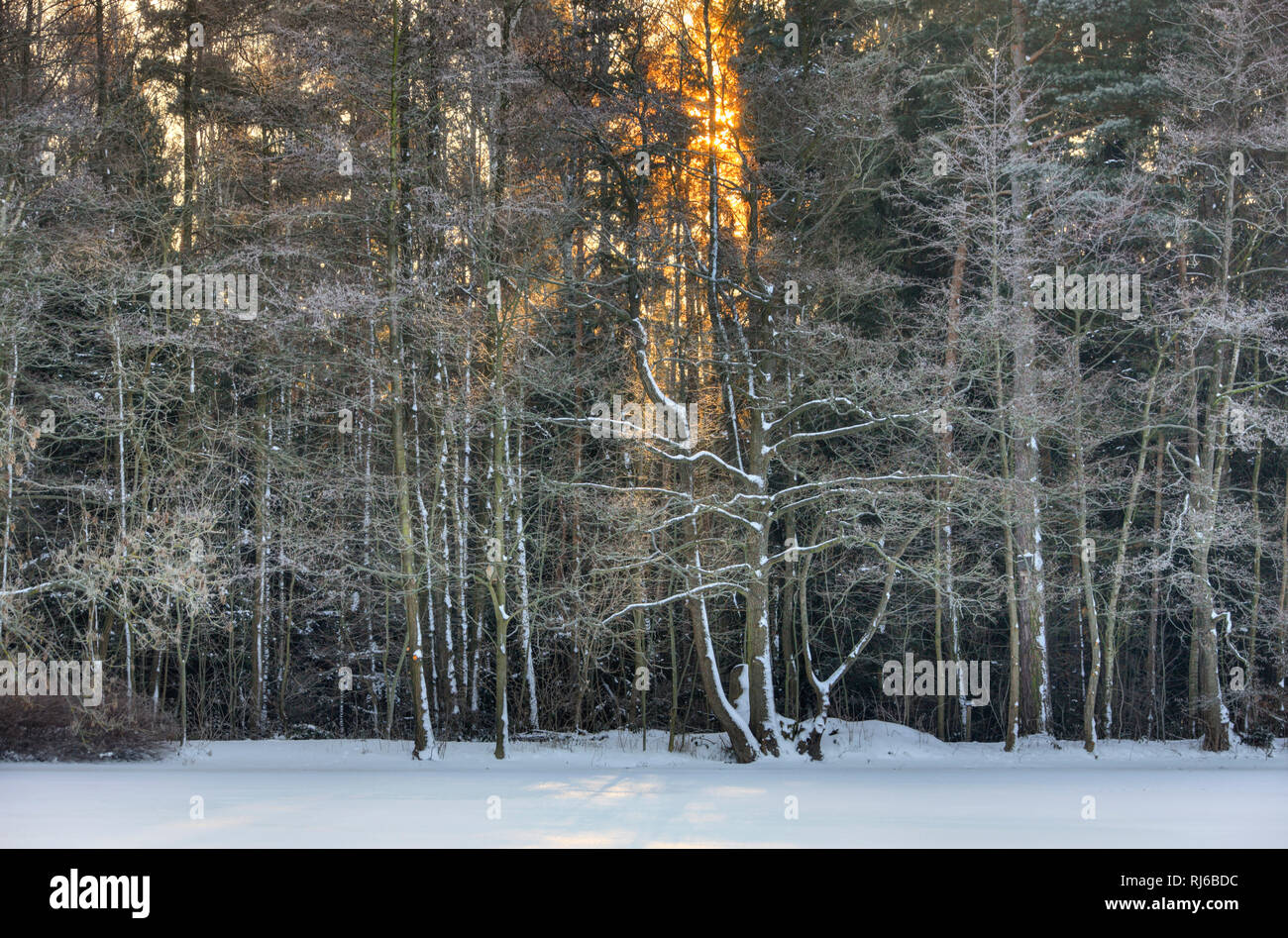 Teiche pennewitzer hires stock photography and images Alamy