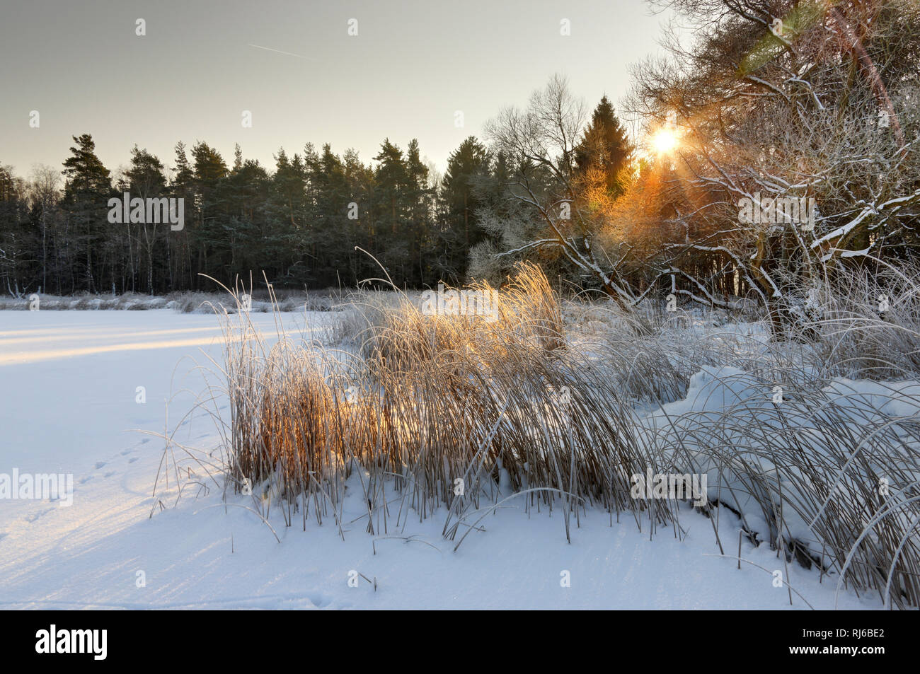 Teiche pennewitzer hires stock photography and images Alamy
