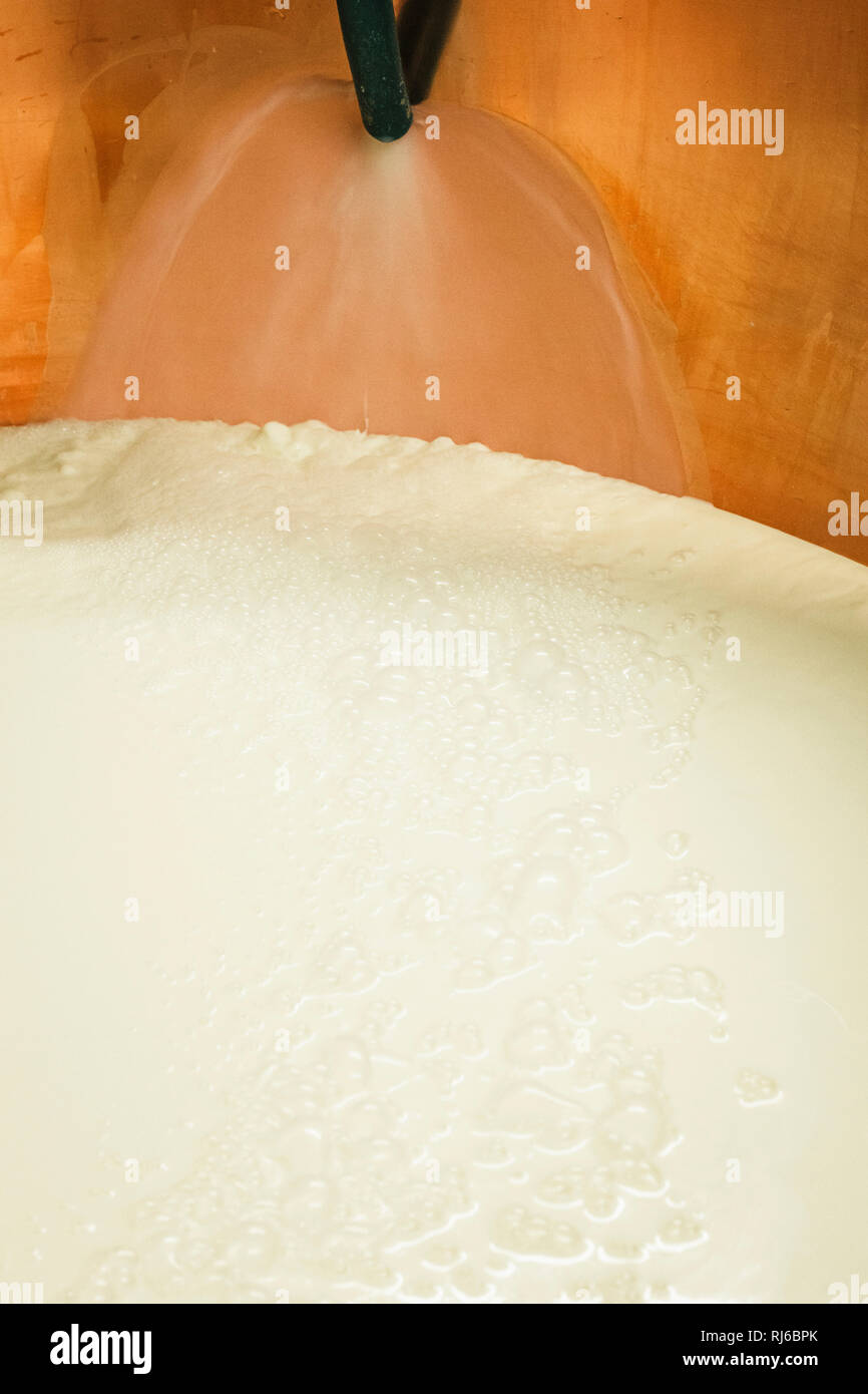 Sennerin verarbeitet frische Milch zu würzigem Alm-Käse, Reportage: Vom Milch kochen, Lab zufügen bis zum Käselaib, der dann im Keller reifen darf, Stock Photo