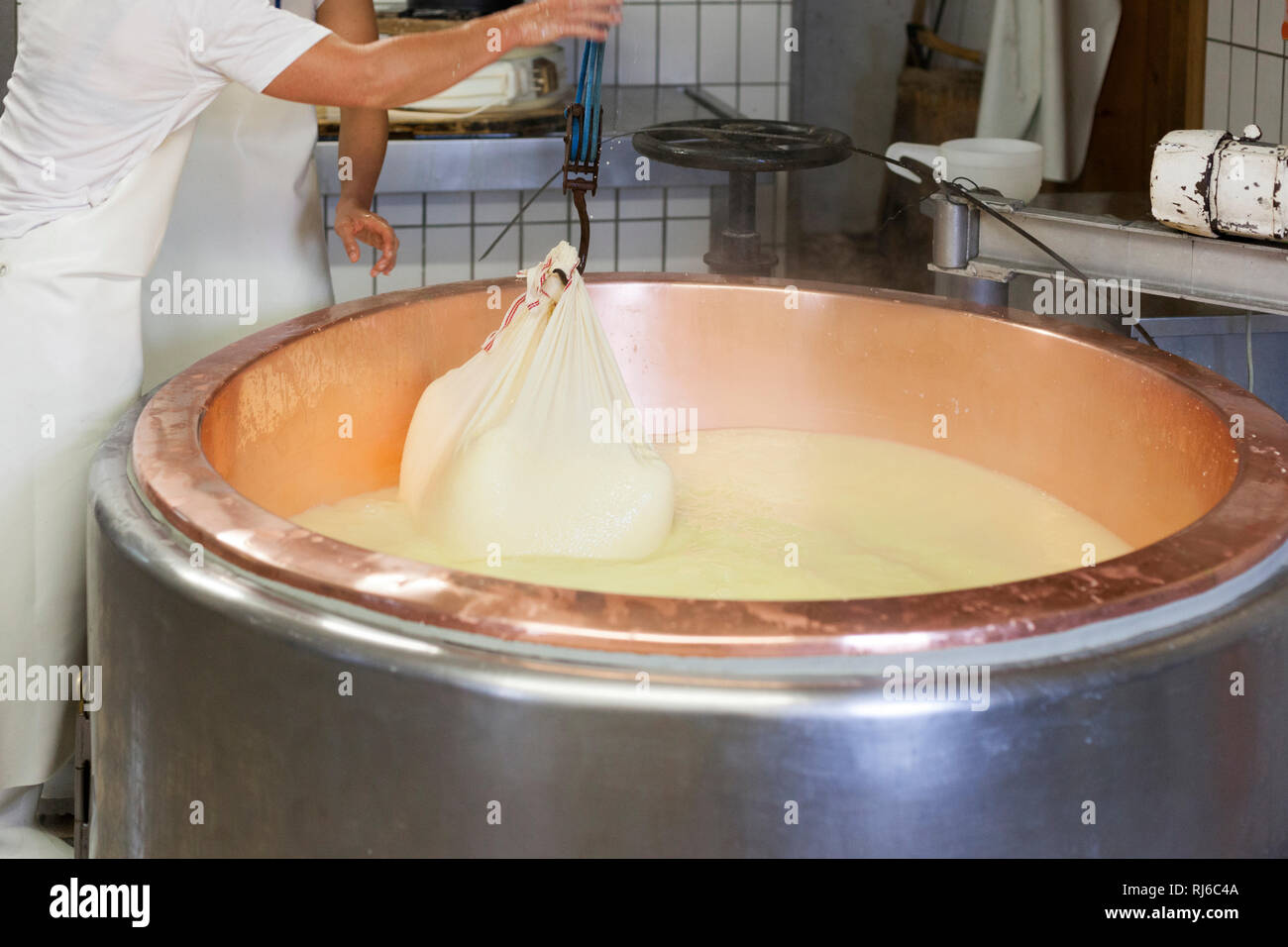 Die Sennerin verarbeitet frische Milch zu würzigem Alm-Käse, der Käsebruch wird aus dem Kessel gehoben und zu einem Laib weiterverarbeitet, Stock Photo