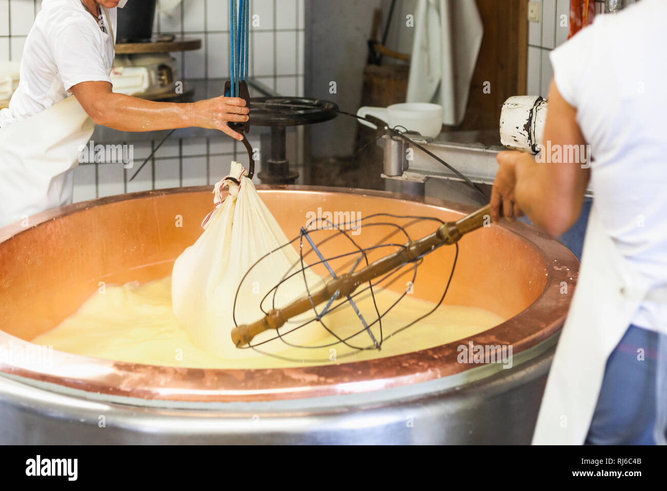 Die Sennerin verarbeitet frische Milch zu würzigem Alm-Käse, der Käsebruch wird aus dem Kessel gehoben und zu einem Laib weiterverarbeitet, Stock Photo