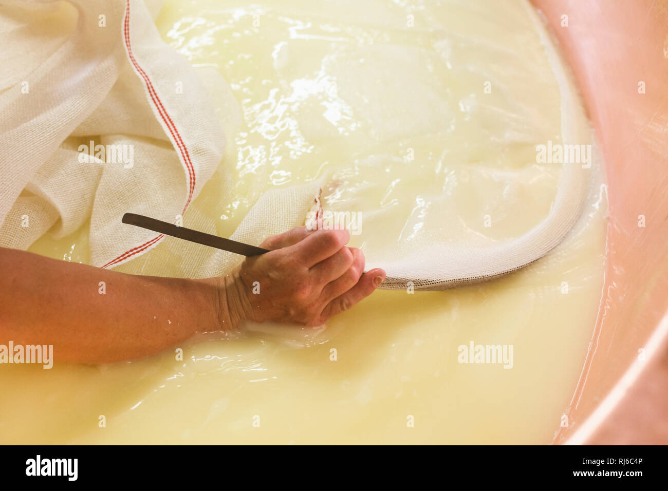 Die Sennerin verarbeitet frische Milch zu würzigem Alm-Käse, der Käsebruch wird aus dem Kessel gehoben und zu einem Laib weiterverarbeitet, Stock Photo