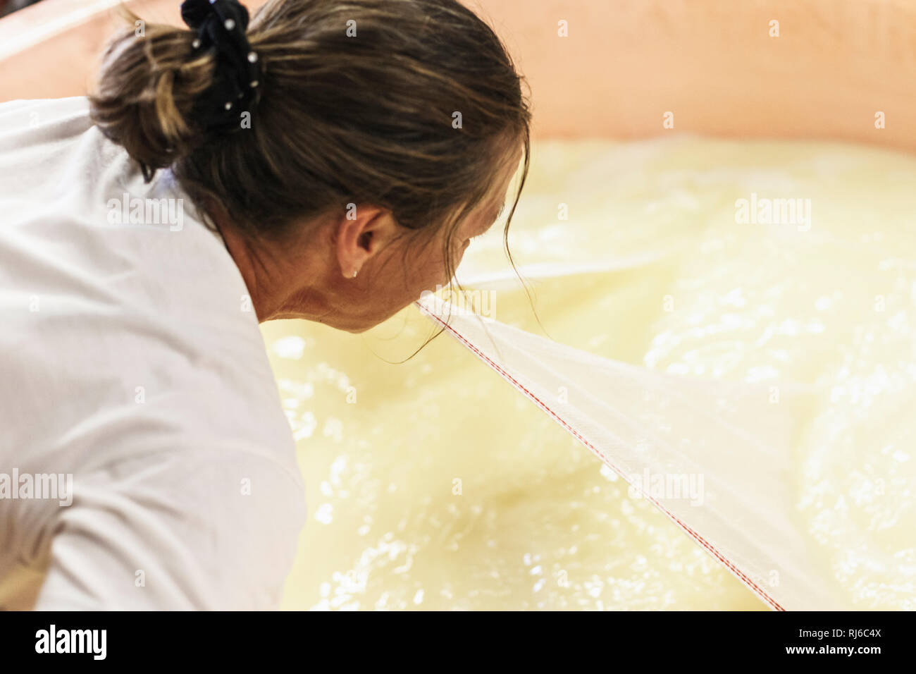 Die Sennerin verarbeitet frische Milch zu würzigem Alm-Käse, der Käsebruch wird aus dem Kessel gehoben und zu einem Laib weiterverarbeitet, Stock Photo