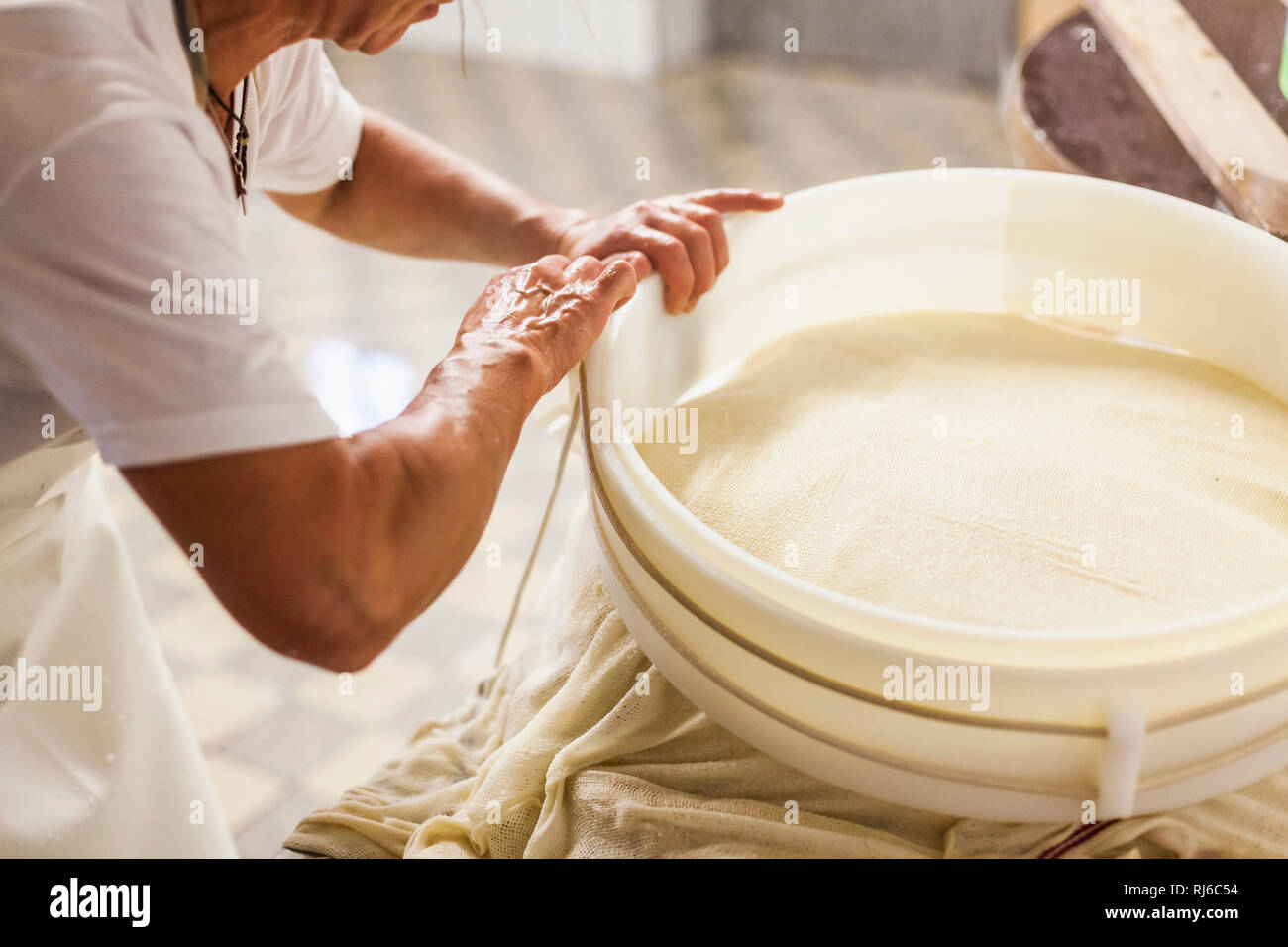 Die Sennerin verarbeitet frische Milch zu würzigem Alm-Käse, der Käsebruch wird aus dem Kessel gehoben und zu einem Laib weiterverarbeitet, Stock Photo