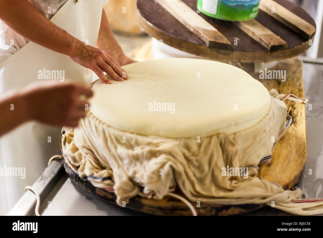 Die Sennerin verarbeitet frische Milch zu würzigem Alm-Käse, der Käsebruch wird aus dem Kessel gehoben und zu einem Laib weiterverarbeitet, Stock Photo