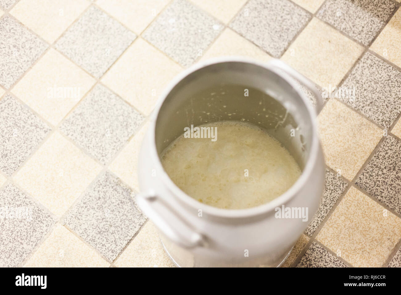 Herstellung von Butter, Milchkanne mit frischer Milch Stock Photo