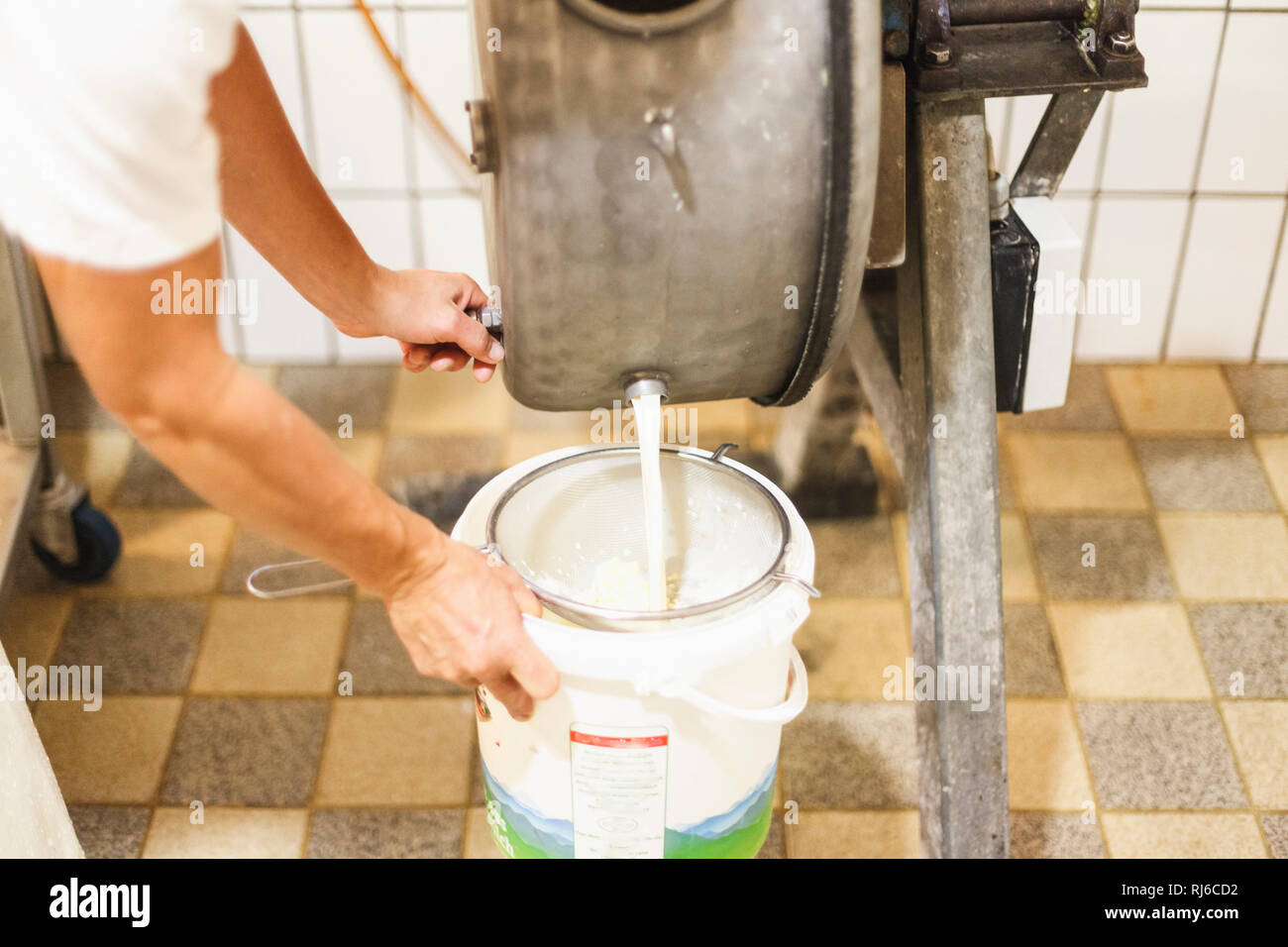 Herstellung von Butter, ablassen der Buttermilch Stock Photo Alamy
