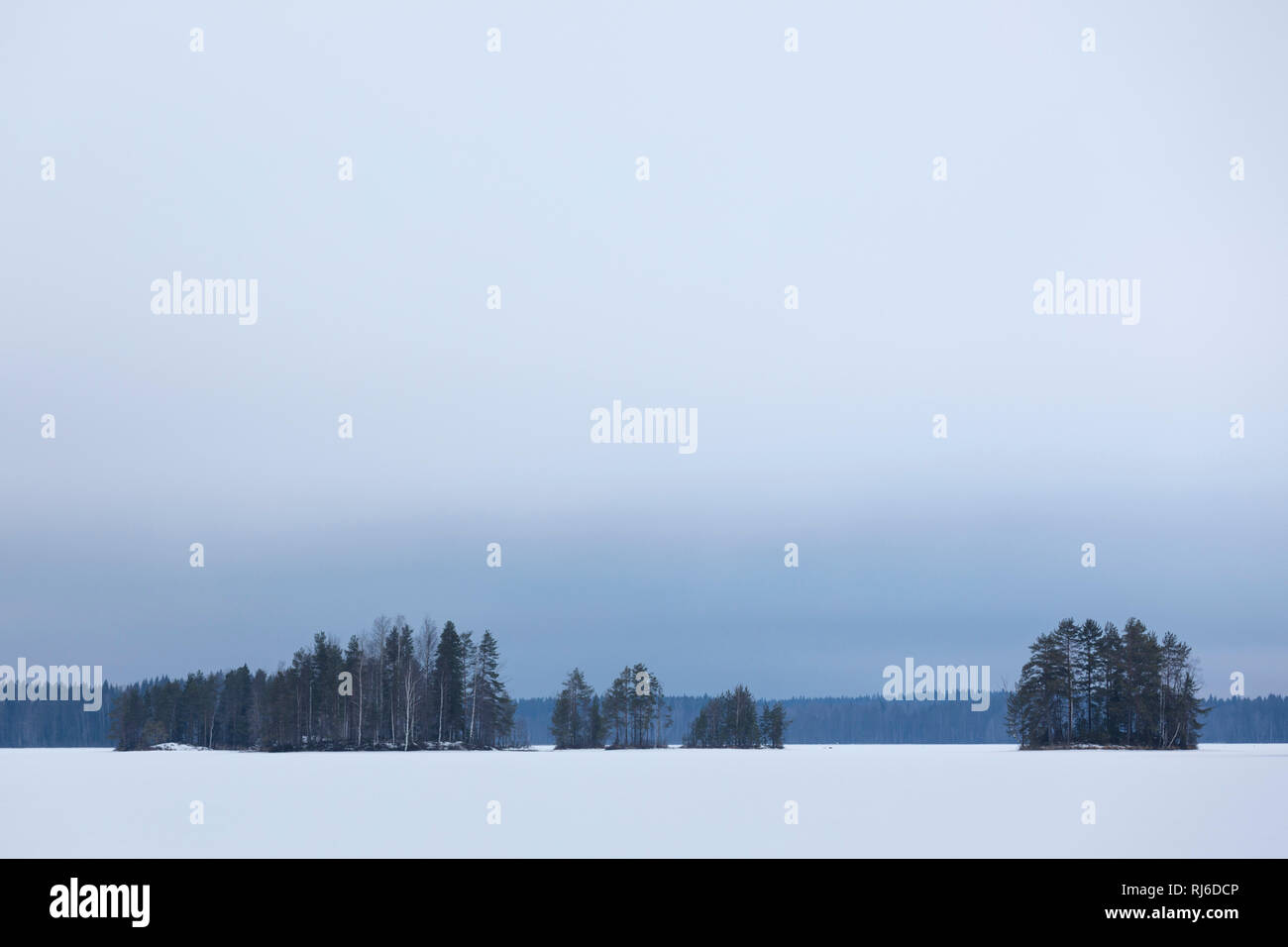 Finnland, Siamaa-Gebiet, Landschaft mit Schnee und Bäumen im Winter Stock Photo