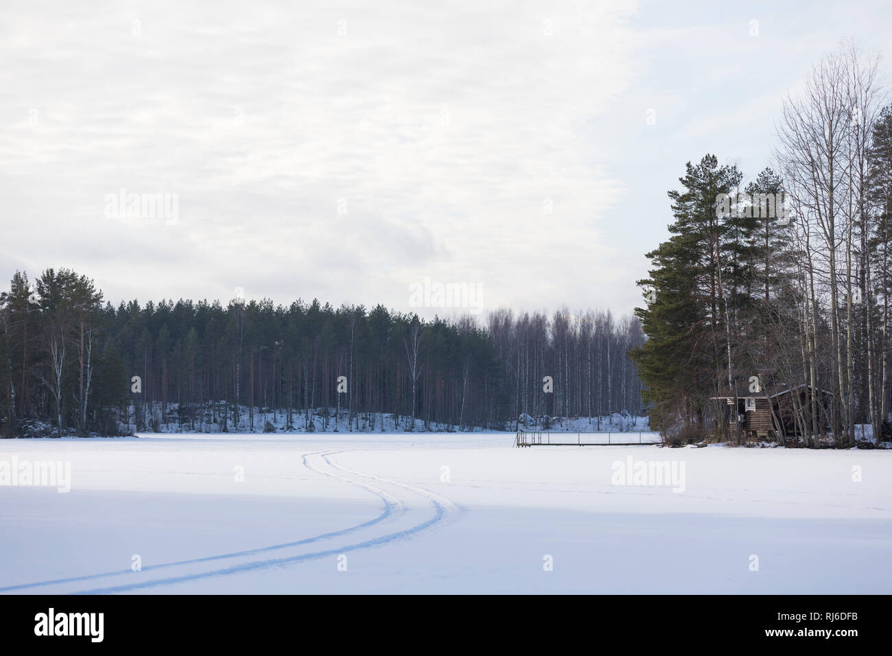 Finnland, Landschaft mit Schnee, Spur und Bäumen auf See Stock Photo