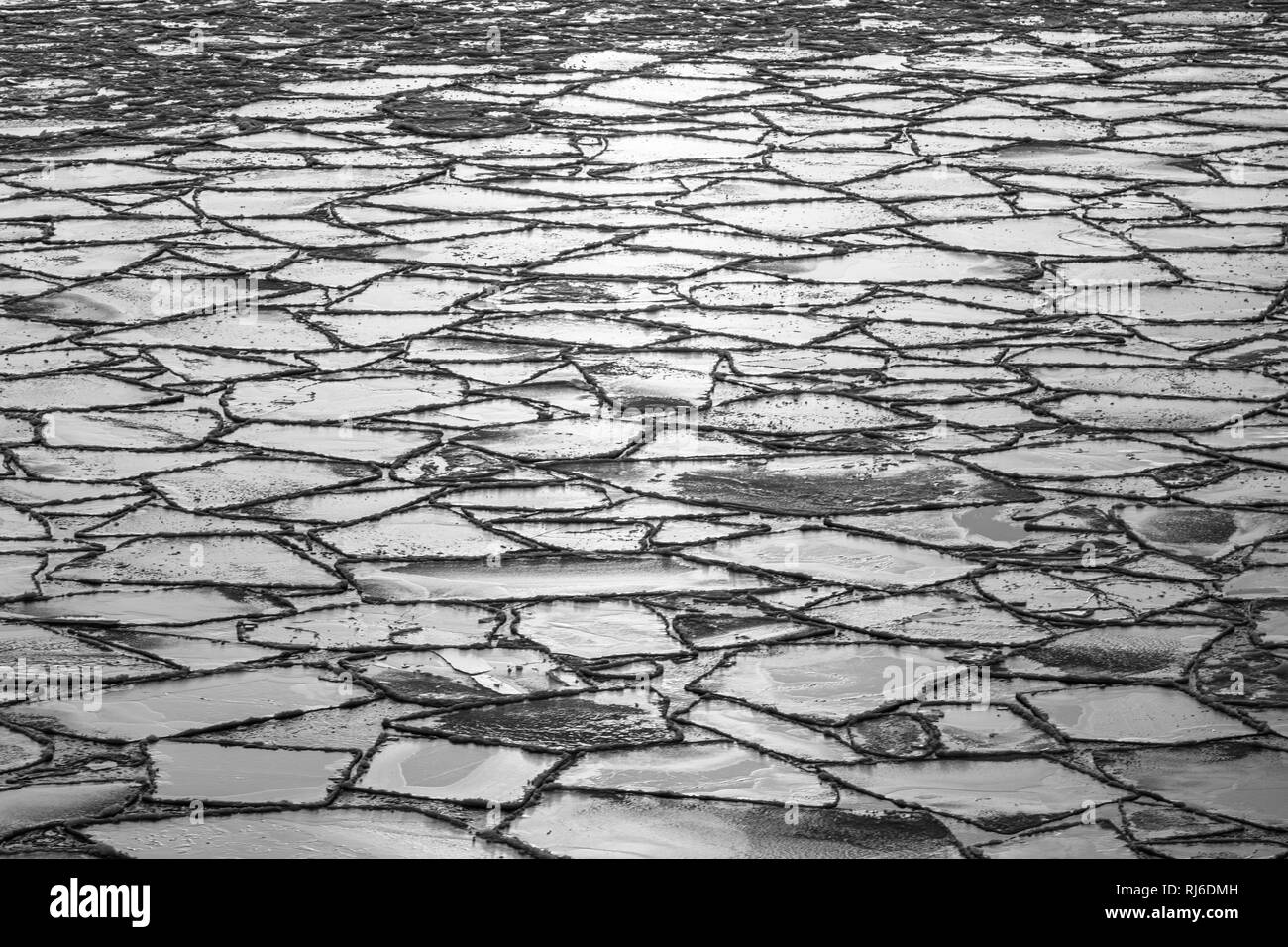 Ostsee mit Eisschollen in schwarz-weiß Stock Photo