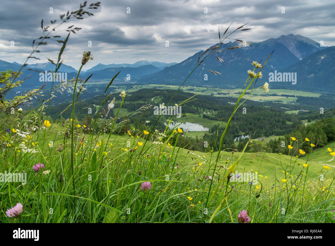 Deutschland, Bayern, Bayerische Alpen, Mittenwald, Blick vom Kranzberg auf die Alpenwelt Karwendel Stock Photo