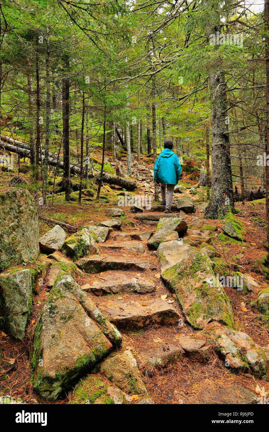 Friends Trail Little Long Pond Little Long Pond Loop Carriage Road Acadia National Park Mount Desert Island Maine USA Stock Photo Alamy