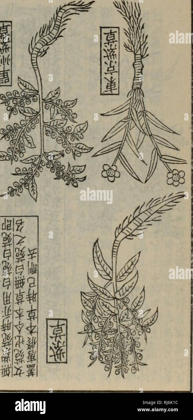 Page 2 Sa O High Resolution Stock Photography And Images Alamy