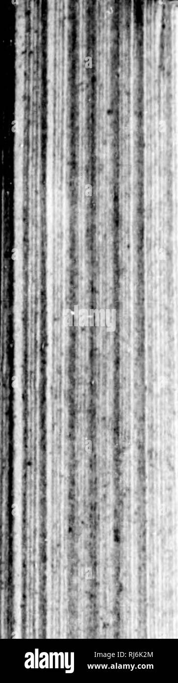 Vidhlgqv28dn5m