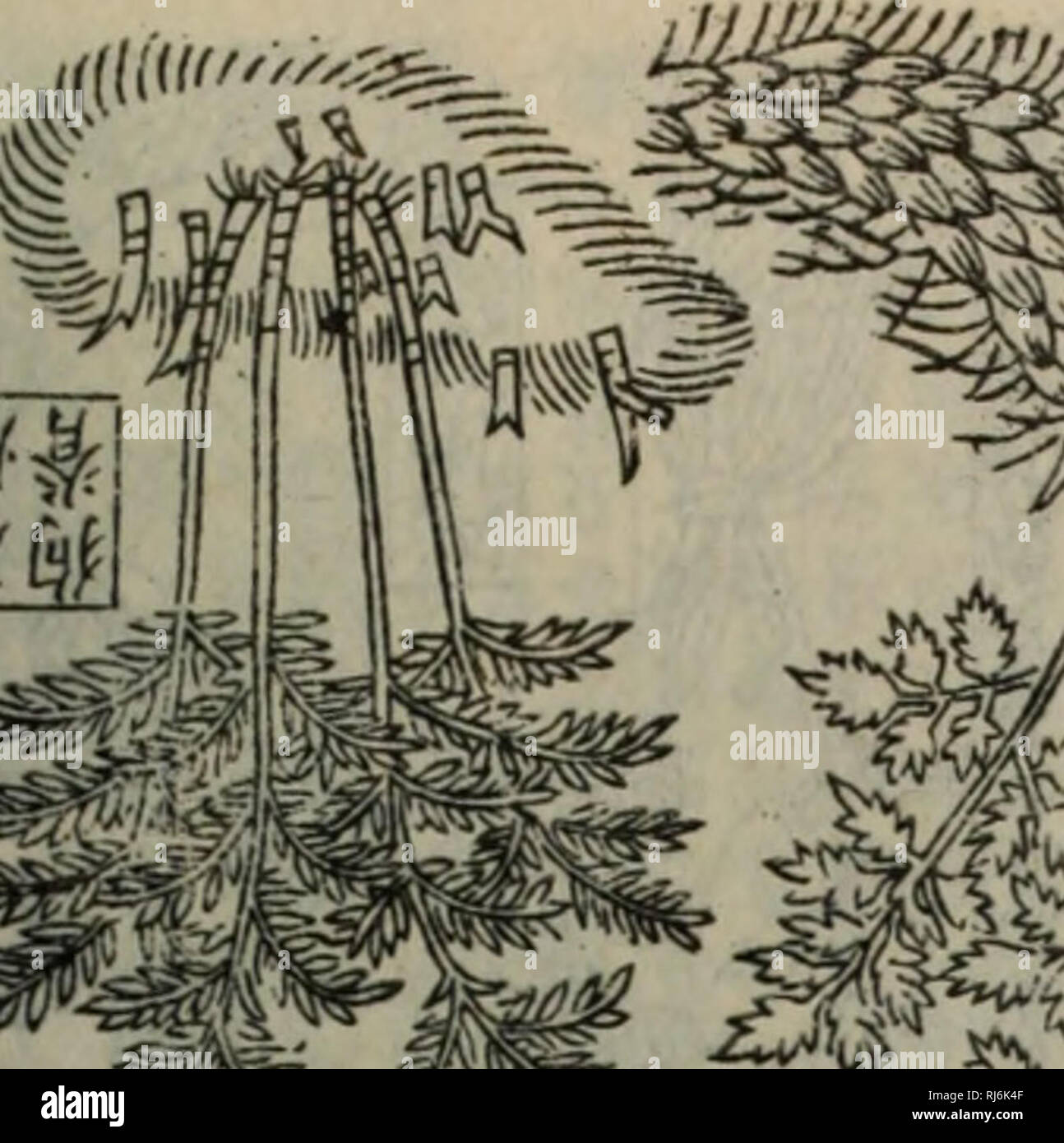 Page 3 Mi Ae High Resolution Stock Photography And Images Alamy