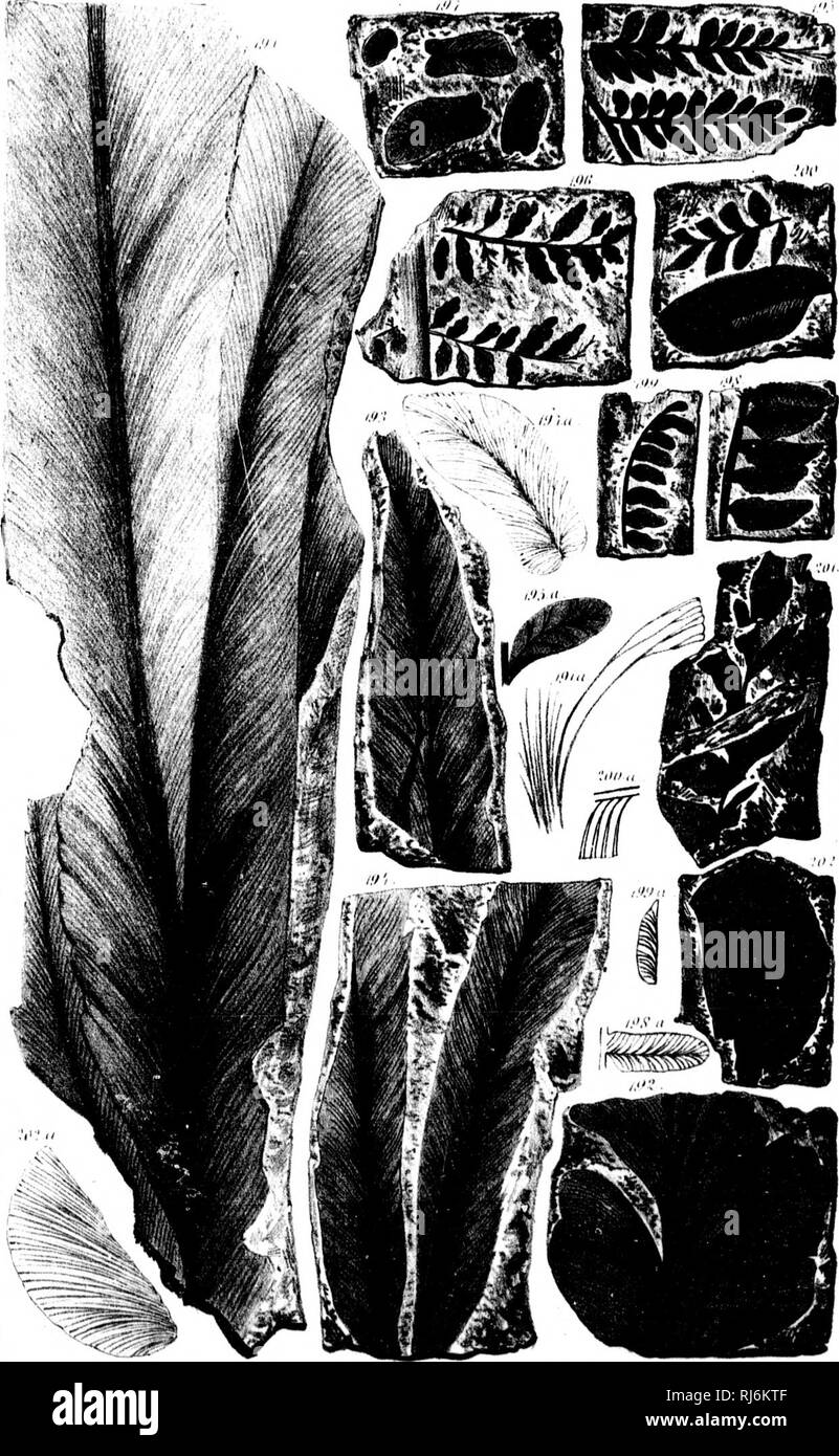3cc High Resolution Stock Photography And Images Alamy 3cc High Resolution Stock Photography And Images Alamy