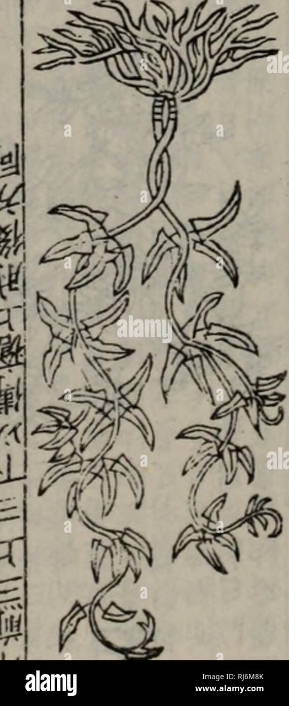 Page 5 J Zheng High Resolution Stock Photography And Images Alamy