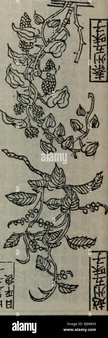 Page 64 S W A L K High Resolution Stock Photography And Images Alamy