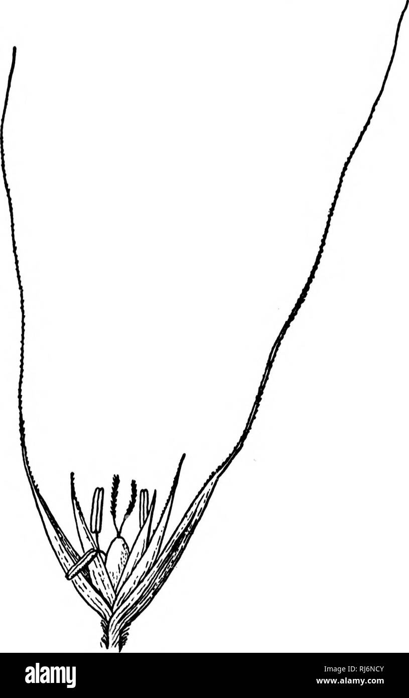 28 18 Cm Stock Photos 28 18 Cm Stock Images Alamy - 