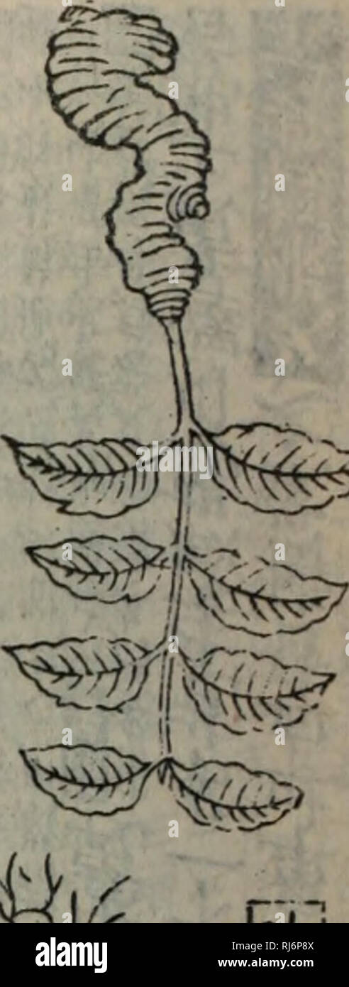 Page 4 Aaj High Resolution Stock Photography And Images Alamy