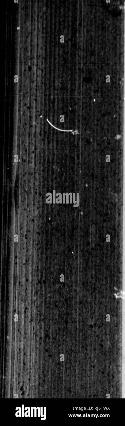 B 24a Stock Photos B 24a Stock Images Alamy