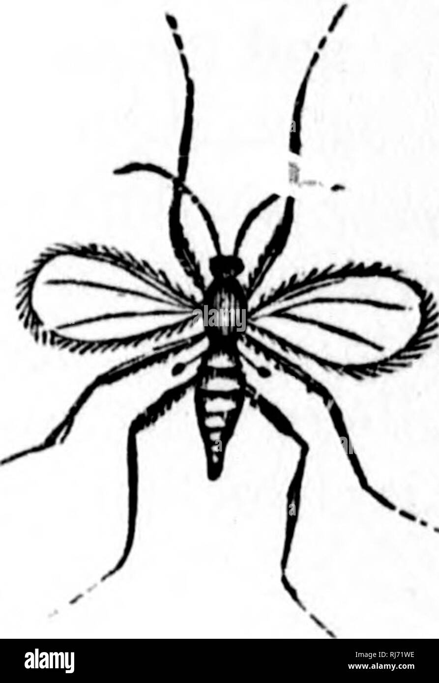 . Handbook of zoology [microform] : with examples from Canadian species ...