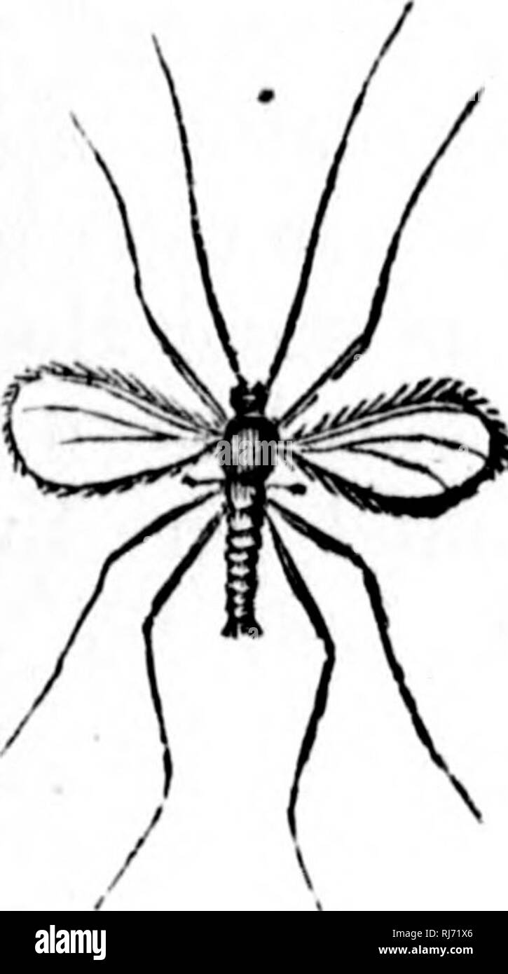 . Handbook of zoology [microform] : with examples from Canadian species ...