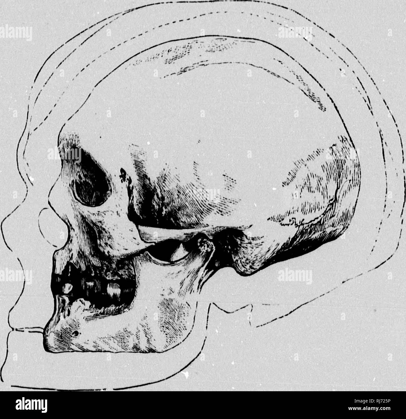 . The chain of life in geological time [microform] : a sketch of the ...
