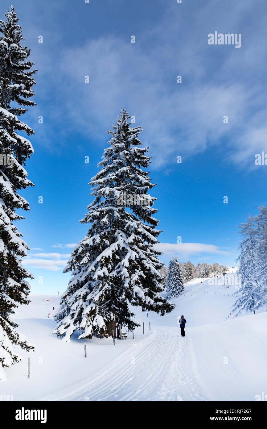 Wanderer, verschneite Winterlandschaft, Skiregion Alpendorf, St. Johann im Pongau, Salzburger Skiwelt Amadé, Salzburger Land, Österreich Stock Photo