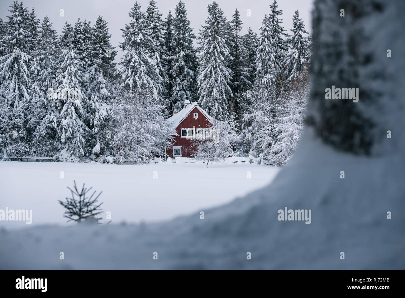 rotes Haus im Wald, Harz, Deutschland Stock Photo