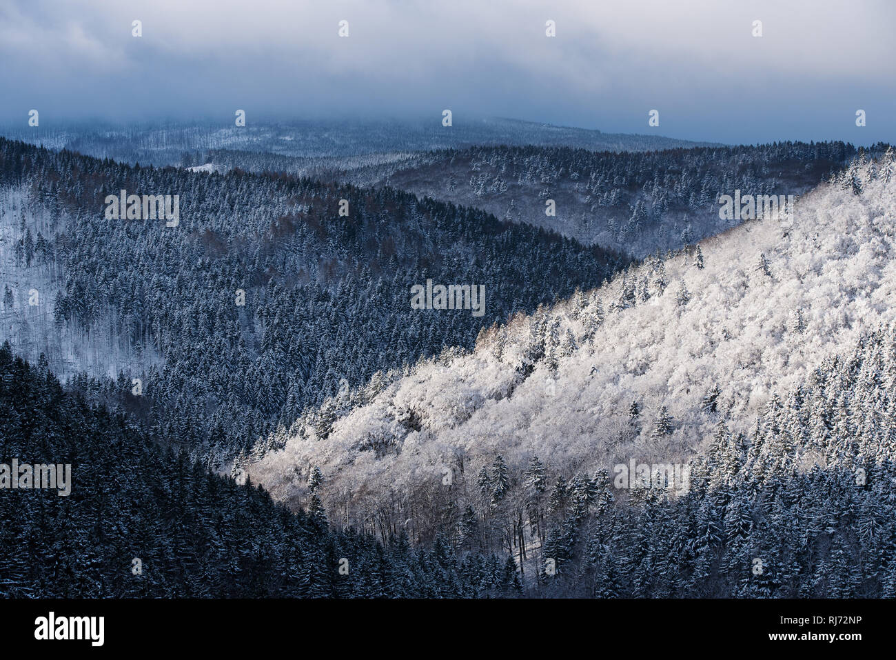 Blick über den Harz im Winter, Ilsenburg, Deutschland Stock Photo