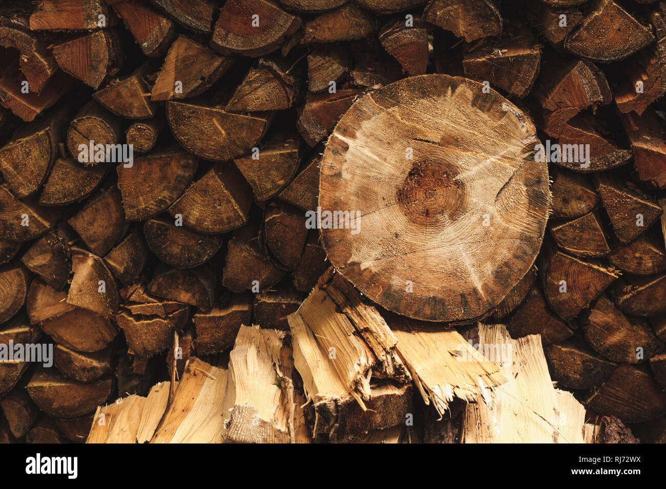 Eine runde Holzscheibe liegt auf einem Stapel Feuerholz, Stock Photo