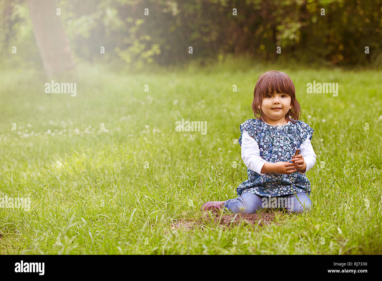 Mädchen, Wiese, sitzen, Stock Photo